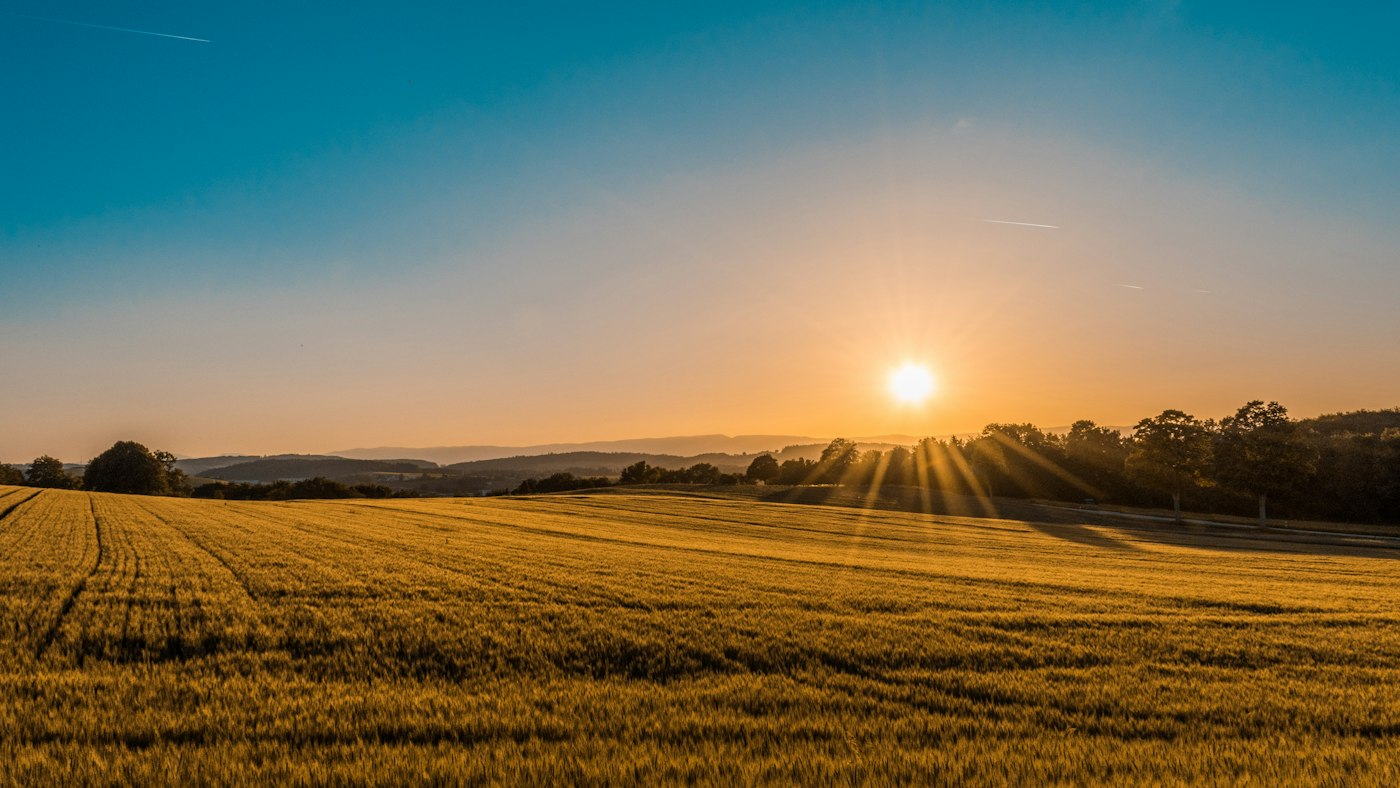 Farm field in late light